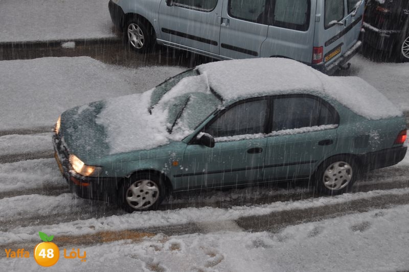 iceman lud 1213 (20).JPG